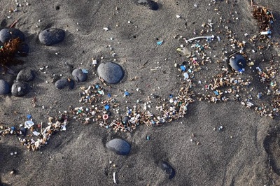 Microplastic Pollution2